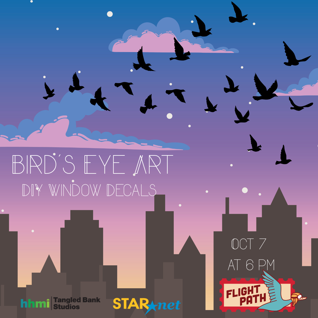 Birds Eye Art 2025-10