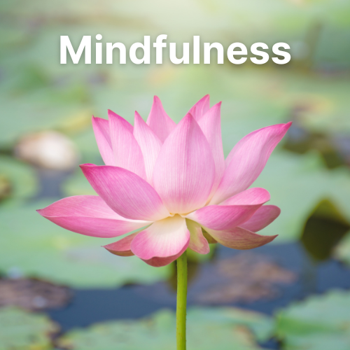 Mindfulness