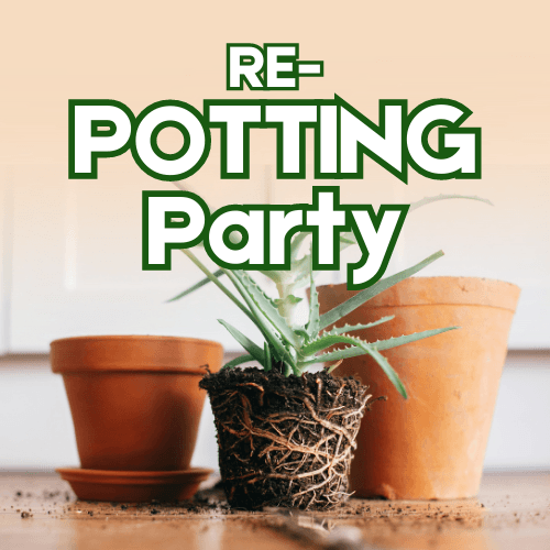 Re-potting party newsflash